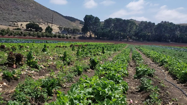 Underwood Family Farms by null
