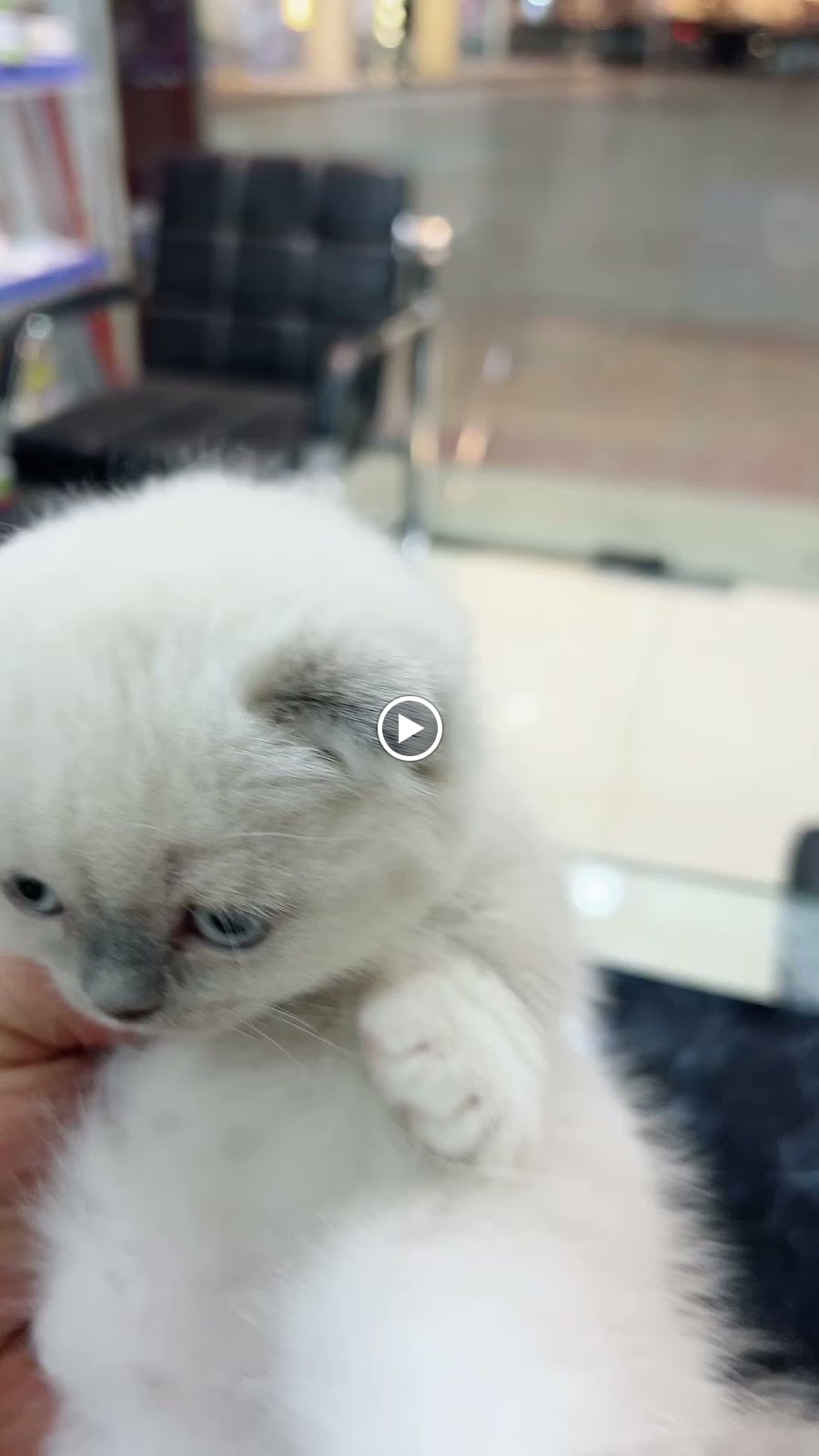 عيادة الهنا الاولية البيطرية - صورة 2