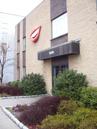 The Stein Dental Group