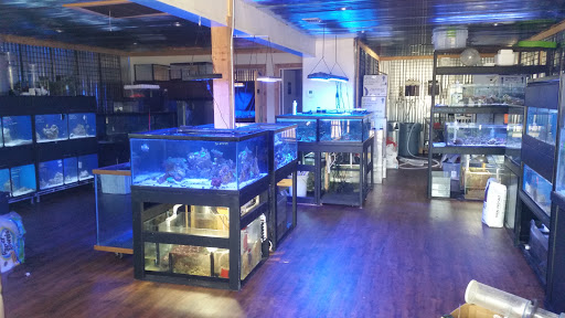 Smayda Aquatics - Thumbnail