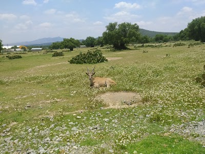 Photos of Tuzoofari
