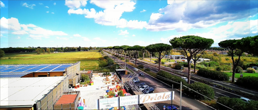 Priolo Store - Visual