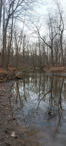 Kipton Reservation - Visual