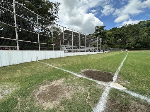 Estadio de Béisbol Martin Reyes Hernandez