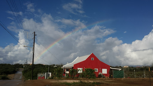 Bonaire Food Group - Thumbnail