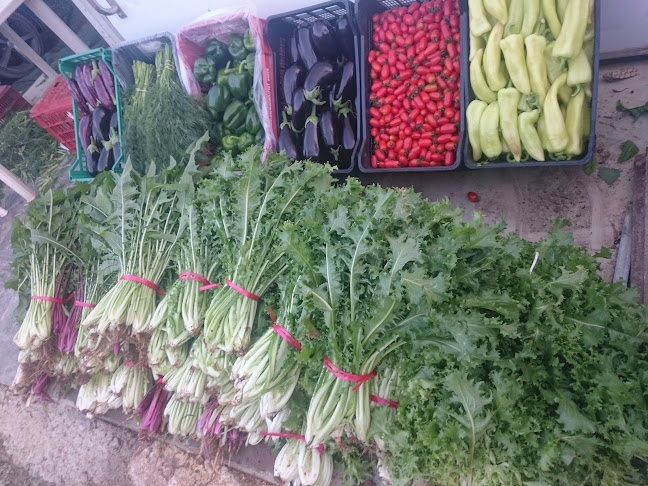 Comentarii opinii despre ΓΑΛΙΑΝΟ ΜΑΝΑΒΙΚΟ