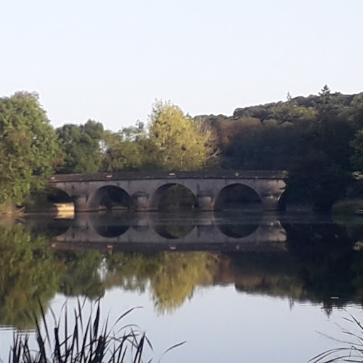 Photo de Villiers-Charlemagne à Villiers-Charlemagne (53170)