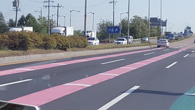 Photos of 블루베리테마식물원