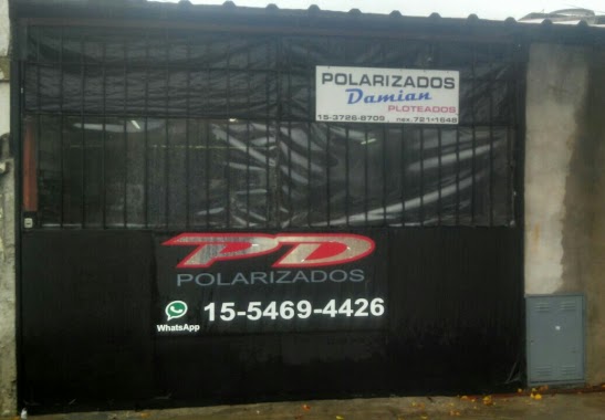 Polarizados Damián, Author: Valeria Prioletta