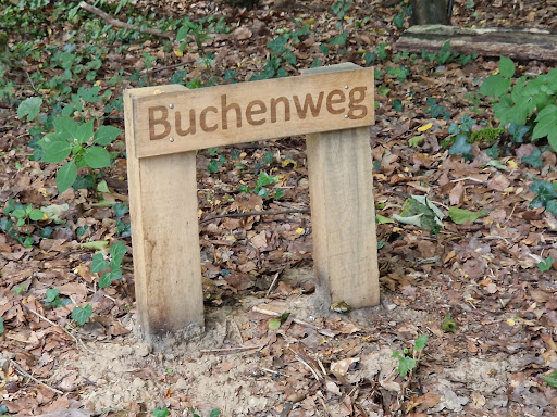Ruhewald Lintorfer Mark - Thumbnail