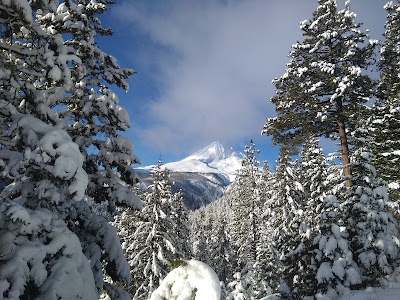 Mt Hood