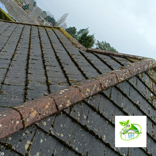 Gutter & Moss Cleaning Specialists