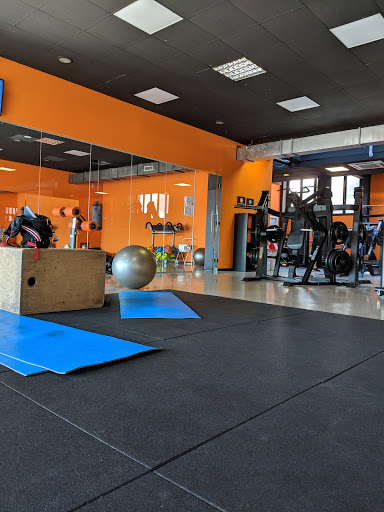 Fit Active - Visual
