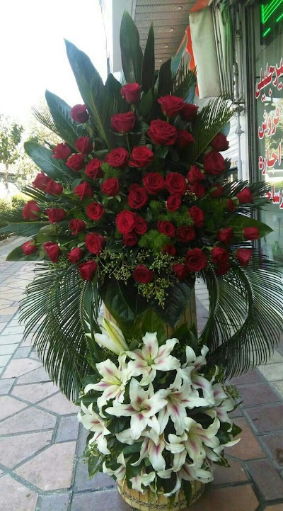 Photos of Mehdi Flower Shop