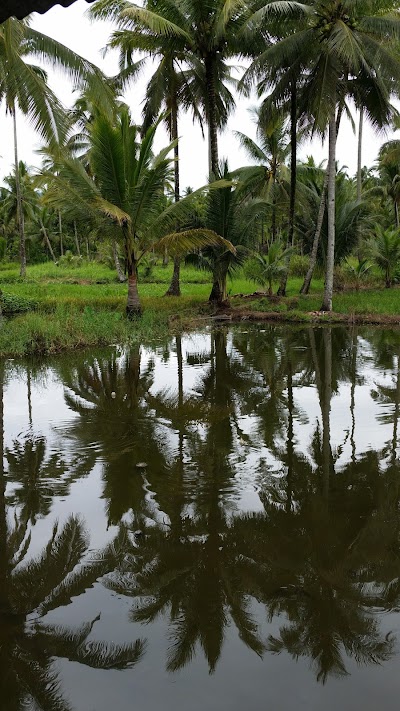 Photos of TOMBATU DINNER CENTRE