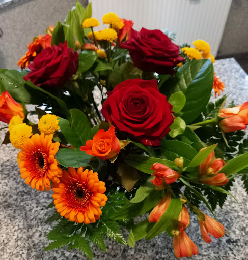 Romanas Blumenladen - Thumbnail