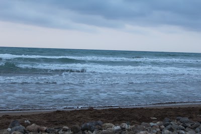Photos of شاطئ بيدر