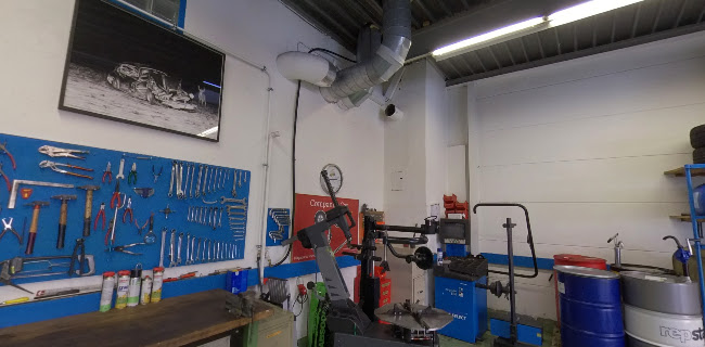 Autodiagnose Milchbuck Companion Car Javadi Direktimport Autoteile - Wettingen