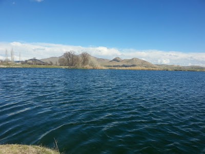 Photos of Shahrak-e Golmarz
