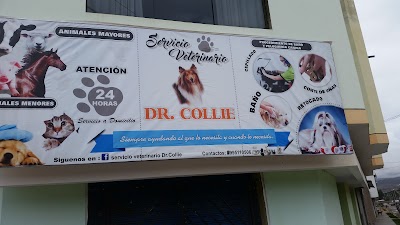 Veterinary Care