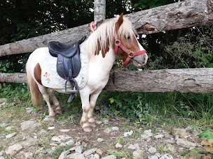 Photo n°3 de Les Ecuries De Canteperdrix à Pousthomy (Centre équestre)