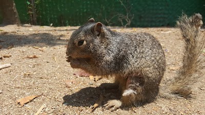 Photos of Termas Comanjilla Aquatic Park