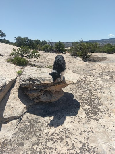 Black Ridge Canyons Wilderness (Colorado)