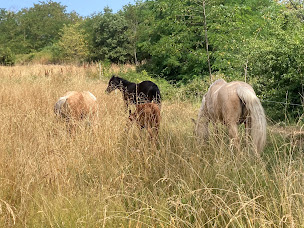 Photo n°8 de La Loubière ardeche à Ruoms (Parc d'activités)