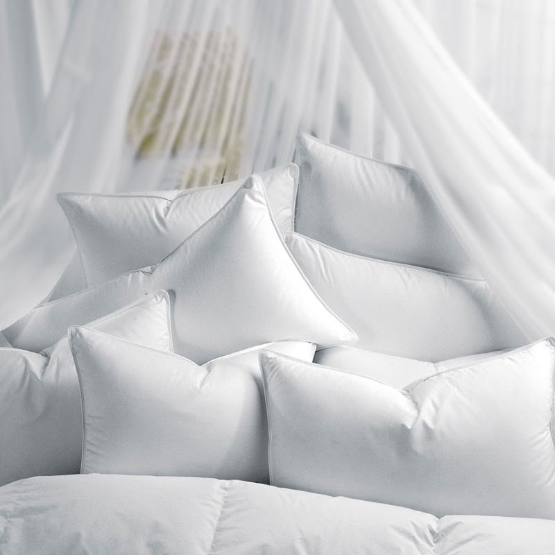 King Of Cotton photo 3