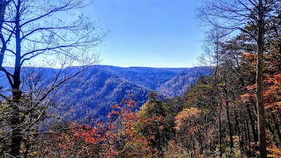 Photos of New River Gorge Preserve
