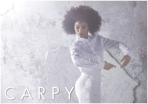 Photo n°23 de CARPY Coiffeur Coloriste à Joué-lès-Tours (Salon de coiffure)