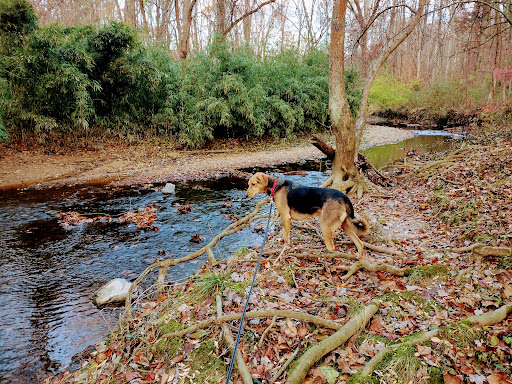 Holmes Run Stream Valley Park - Thumbnail