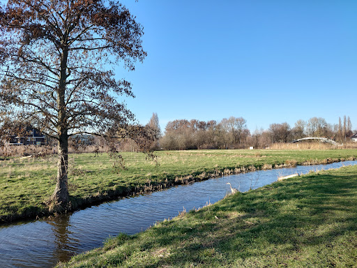 Berg en Broekpark Logo