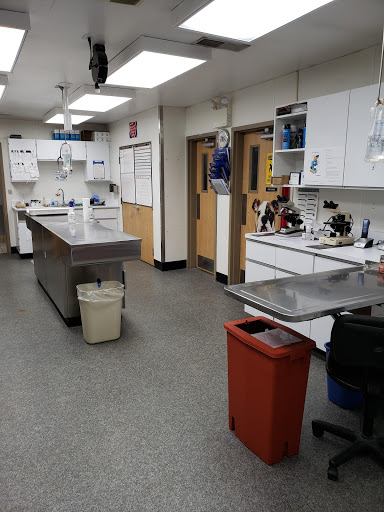 VCA West Shore Animal Hospital - Thumbnail
