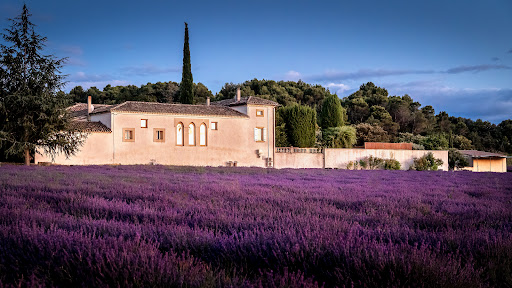 Photo de Ferme de Palumiane à Visan (84820)