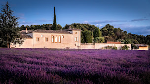 Photo n°1 de Le Mas des Sorcières à Valréas (Hôtel)