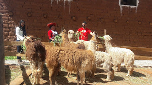 Andean Colors 0