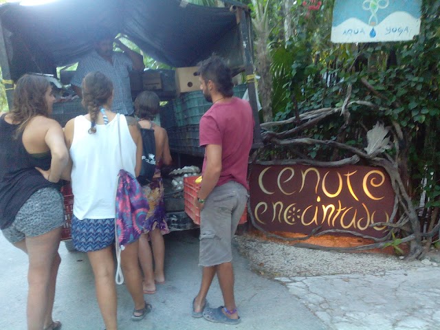 Cenote Encantado-1320