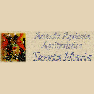 Farm House Tenuta Maria - Thumbnail