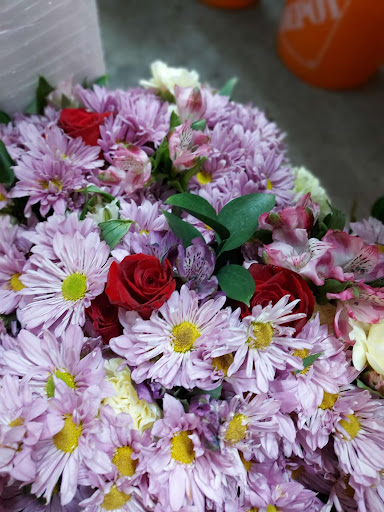 Fleur-Quebec - Visual