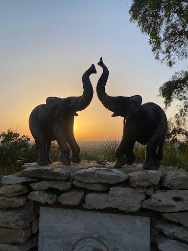 Safarìa Gallery - Italy