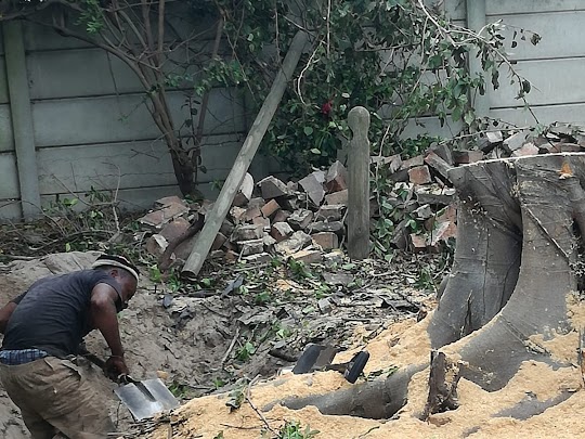 stump removal in cape town