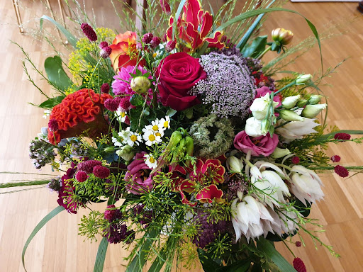Blumen Galerie Myleen - Thumbnail