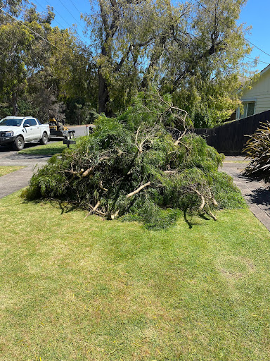 DynaMow Tree Removal Services Geelong