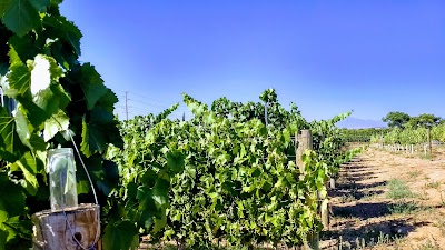 Photos of Wiens Family Cellars