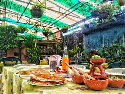 Restaurant Jardín Adelita - Thumbnail