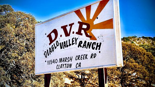 Diablo Valley Ranch – A Bi-Bett Program