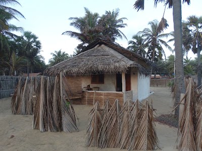 Photos of Dolphin Village