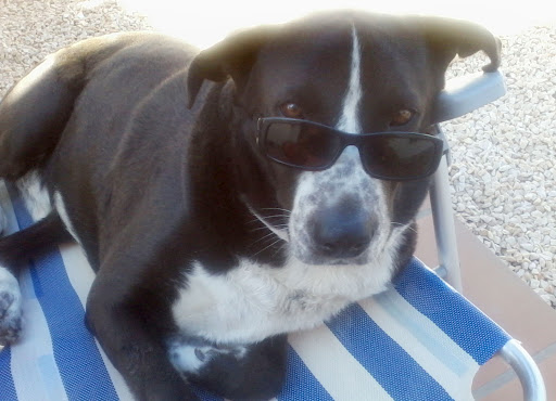 Ferien unter Spaniens Sonne