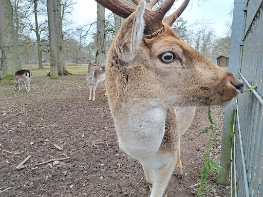 Nordhausen Park - Visual